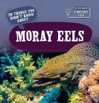 20 Things You Didn't Know about Moray Eels