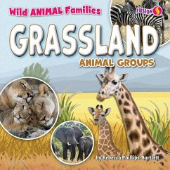 Cover Grassland Animal Groups