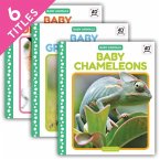 Baby Animals (Set)