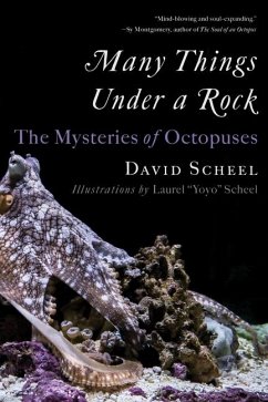 Many Things Under a Rock - Scheel, David