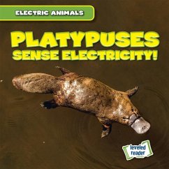 Platypuses Sense Electricity! - Mallory, Louis