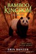 Bamboo Kingdom #4: The Dark Sun - Bild 1