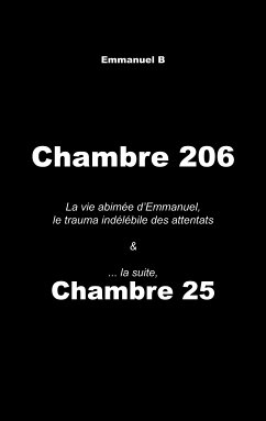 Chambre 206 & Chambre 25, la suite (eBook, ePUB) - B, Emmanuel