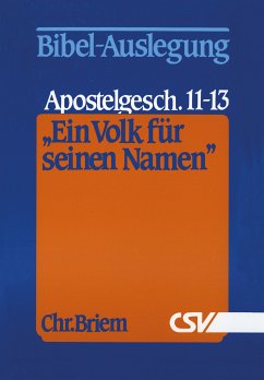 Ein Volk für seinen Namen (eBook, ePUB) - Briem, Christian