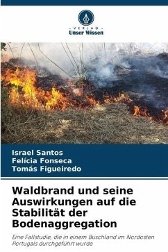 Waldbrand und seine Auswirkungen auf die Stabilität der Bodenaggregation - Santos, Israel;Fonseca, Felícia;Figueiredo, Tomás