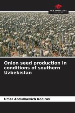Onion seed production in conditions of southern Uzbekistan - Kodirov, Umar Abdullaevich