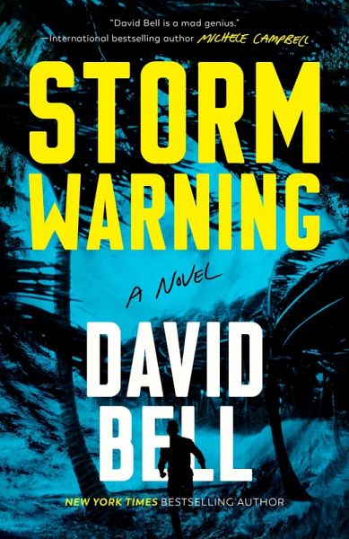 Storm Warning (eBook, ePUB)