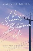 No Secrets Between Us (eBook, ePUB)