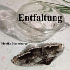 Entfaltung (eBook, ePUB)