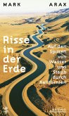 Risse in der Erde (eBook, ePUB)