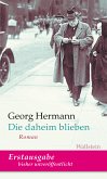 Die daheim blieben (eBook, PDF)