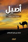 Aseel - biography in a novel (eBook, ePUB)