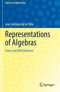 Representations of Algebras - de la Peña, José-Antonio
