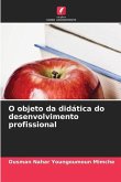 O objeto da didática do desenvolvimento profissional