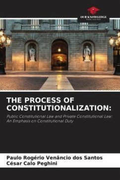 THE PROCESS OF CONSTITUTIONALIZATION: - Venâncio dos Santos, Paulo Rogério;Peghini, César Calo