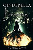 Cinderella Burning (eBook, ePUB)