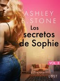 Los secretos de Sophie vol.3 - un cuento corto erótico (eBook, ePUB)