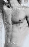 Volume 3: Seducing My Straight Roommate (eBook, ePUB)