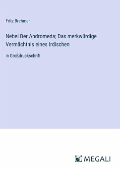 Nebel Der Andromeda; Das merkwürdige Vermächtnis eines Irdischen - Brehmer, Fritz