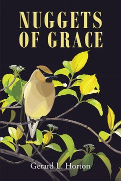 Nuggets of Grace (eBook, ePUB) - Horton, Gerard L.