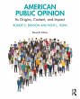 American Public Opinion (eBook, PDF) - Bild 1