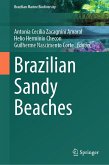 Brazilian Sandy Beaches (eBook, PDF)
