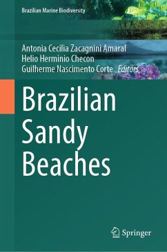 Cover Brazilian Sandy Beaches (eBook, PDF)