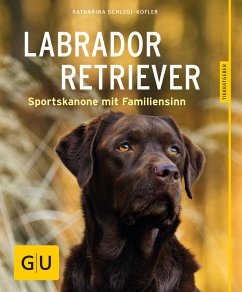 Labrador Retriever  - Schlegl-Kofler, Katharina