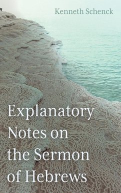 Explanatory Notes on the Sermon of Hebrews (eBook, ePUB) - Schenck, Kenneth