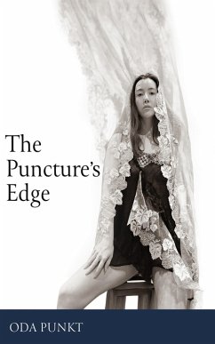 The Puncture's Edge (eBook, ePUB)