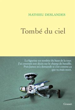 Tombé du ciel (eBook, ePUB) - Deslandes, Mathieu