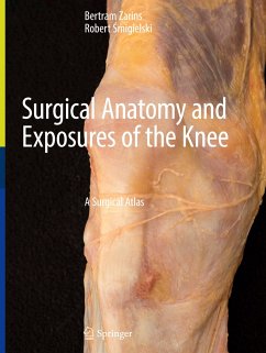 Surgical Anatomy and Exposures of the Knee