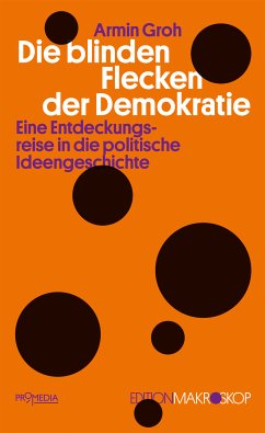 Die blinden Flecken der Demokratie (eBook, ePUB) - Groh, Armin