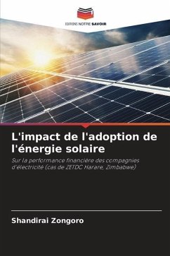 L'impact de l'adoption de l'énergie solaire - Zongoro, Shandirai