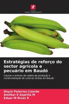 Estratégias de reforço do sector agrícola e pecuário em Baudó - Palacios Lizarda, Dayro;Asprilla M, Amilkar E;Rivas R, Eduar M