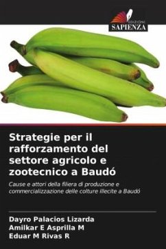 Strategie per il rafforzamento del settore agricolo e zootecnico a Baudó - Palacios Lizarda, Dayro;Asprilla M, Amilkar E;Rivas R, Eduar M