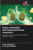Piano aziendale dell'ananas(Ananas comosus)