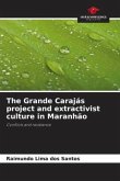 The Grande Carajás project and extractivist culture in Maranhão