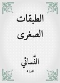 الطبقات الصغرى (eBook, ePUB)