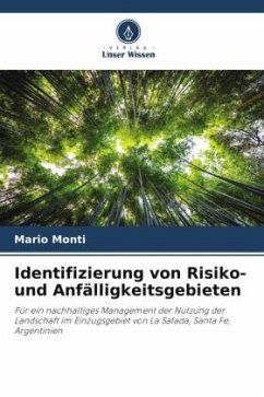 Identifizierung von Risiko- und Anfälligkeitsgebieten - Monti, Mario