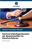 Sachverständigenbeweis als Beweismittel im Strafverfahren