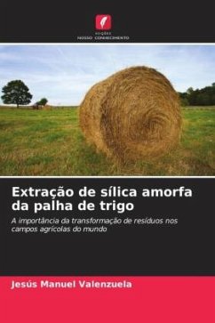 Extração de sílica amorfa da palha de trigo - Valenzuela, Jesús Manuel