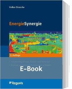 Cover EnergieSynergie (E-Book) (eBook, PDF)