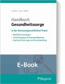 Handbuch Gesundheitssorge (E-Book) (eBook, PDF)