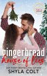Gingerbread House of Lies (eBook, ePUB) - Bild 1