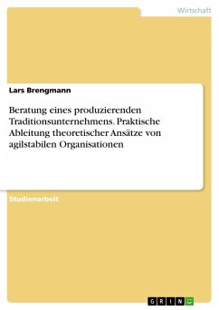 Beratung eines produzierenden Traditionsunternehmens. Praktische Ableitung theoretischer Ansätze von agilstabilen Organisationen (eBook, PDF) - Brengmann, Lars