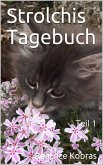 Strolchis Tagebuch - Teil 1 (eBook, ePUB)