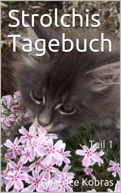 Strolchis Tagebuch - Teil 1 (eBook, ePUB) - Kobras, Beatrice