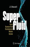 Superfluid (eBook, PDF)