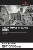 URBAN IMAGE IN LARGE CITIES